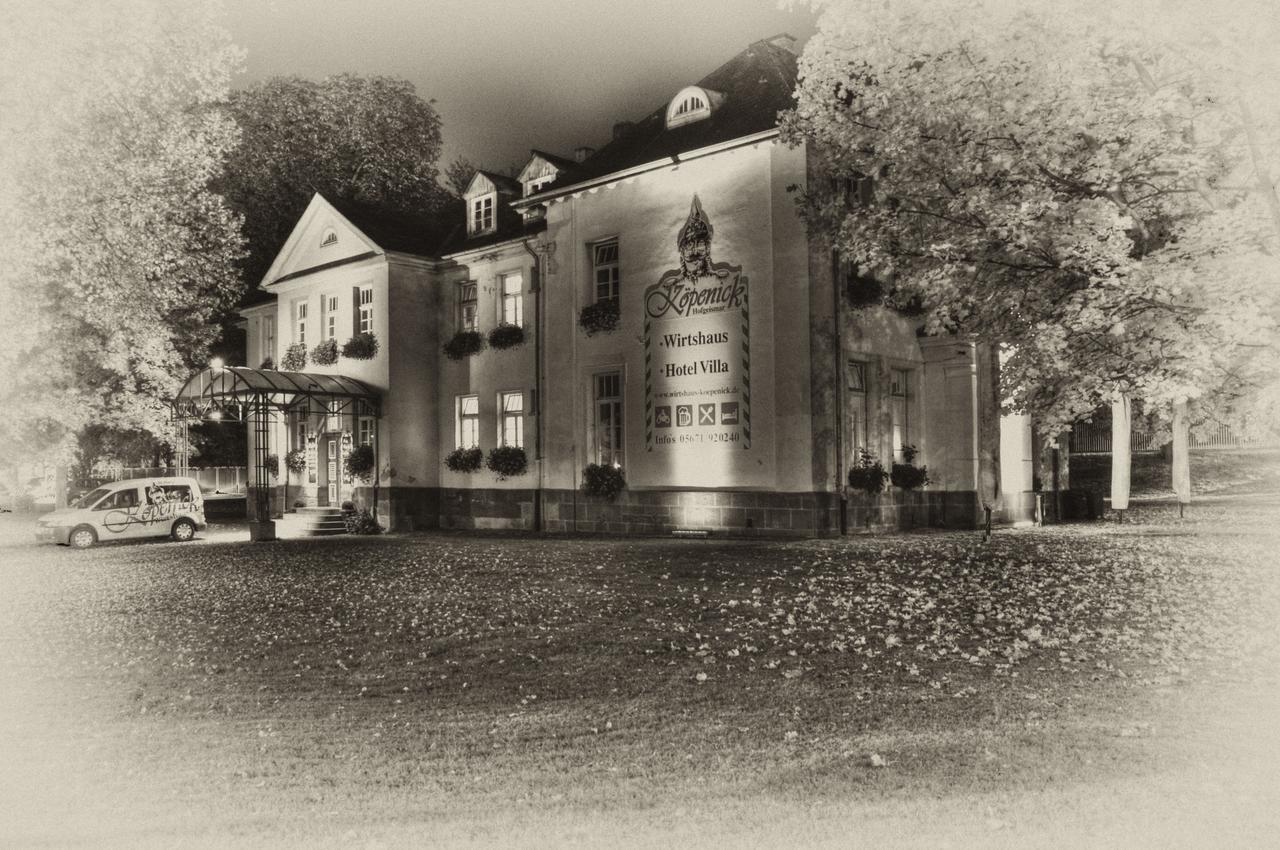 Hotel Villa Wirtshaus Koepenick ホーフガイスマル エクステリア 写真